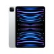 Apple iPad Pro 11" 512GB 5G M2 Chip 2022 4th Generation - Silver