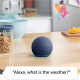 Amazon Bluetooth Speaker Echo Dot5 - Charcoal
