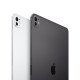 Apple iPad Pro M4 256GB 8GB RAM WIFI 11-inch Tablet -  Space Black