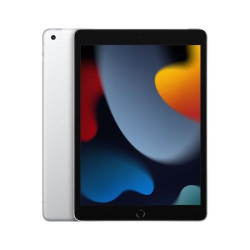 Apple iPad 2021 4G 256GB - Silver